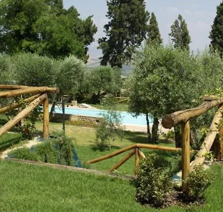 Degli Ulivi Lajatico