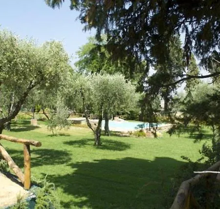 Degli Ulivi Lajatico